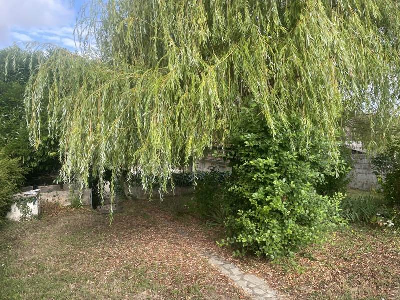 Vente Maison CHATEAUMEILLANT - 8 pièces -183 m² - (18370)