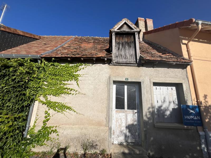 Vente Maison THEVET ST JULIEN - 2 pièces -60 m² - (36400)