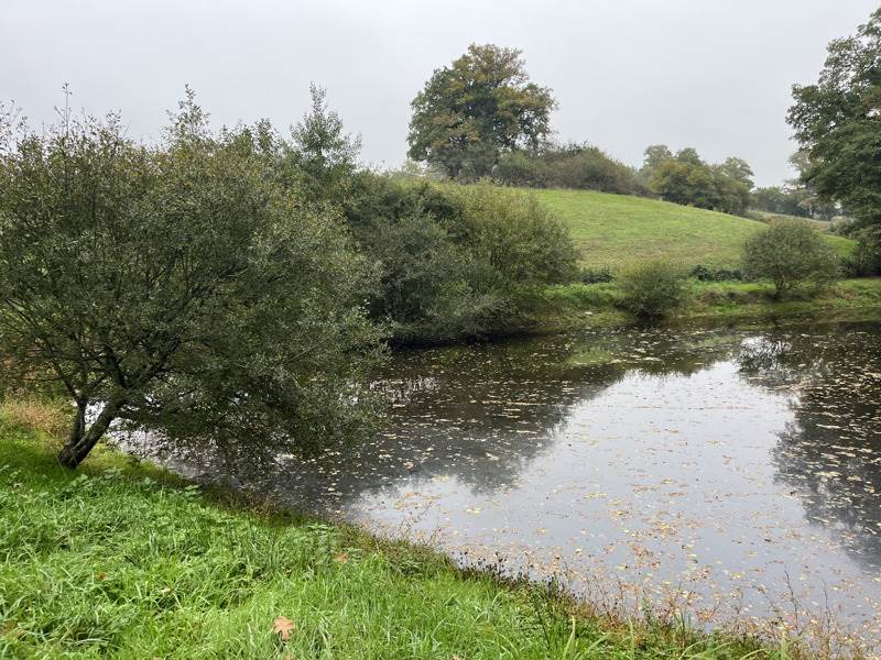 Vente Terrain Saint-Priest-la-Marche - -5735 m² - (18370)
