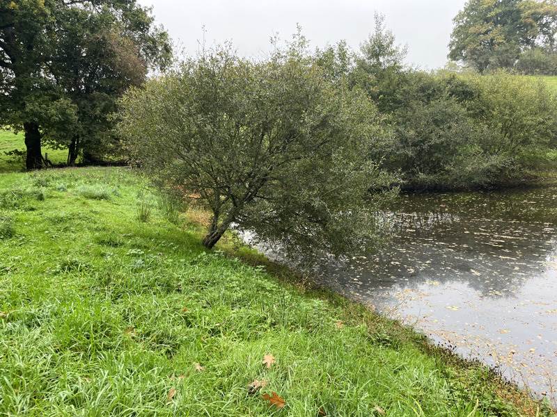 Vente Terrain Saint-Priest-la-Marche - -5735 m² - (18370)