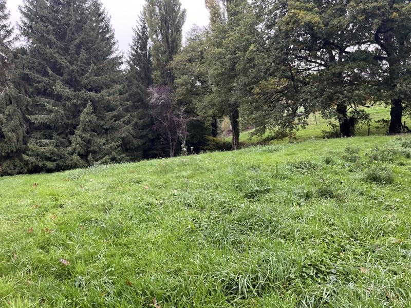 Vente Terrain Saint-Priest-la-Marche - -5735 m² - (18370)