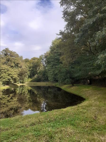 Vente Terrain Saint-Priest-la-Marche - -5735 m² - (18370)