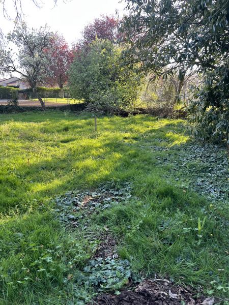 Vente Maison ST AOUT - 9 pièces -250 m² - (36120)