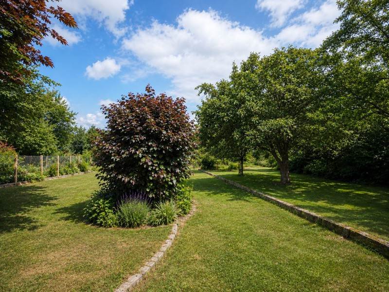 Vente Maison MONTGIVRAY - 6 pièces -159 m² - (36400)