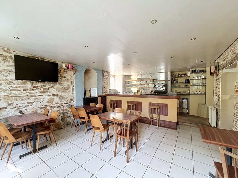 Vente Immeuble STE SEVERE SUR INDRE - -  377 m² - (36160)