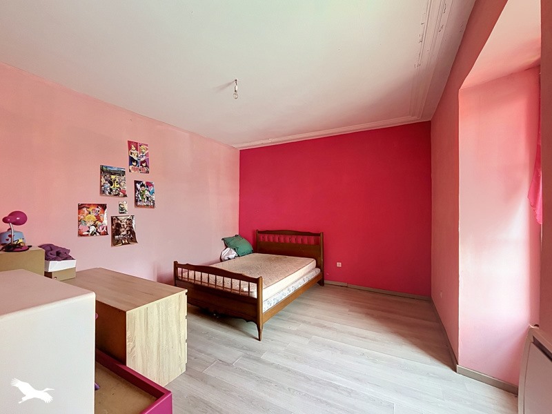 Vente Immeuble STE SEVERE SUR INDRE - -  377 m² - (36160)