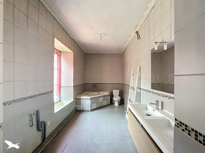 Vente Immeuble STE SEVERE SUR INDRE - -  377 m² - (36160)