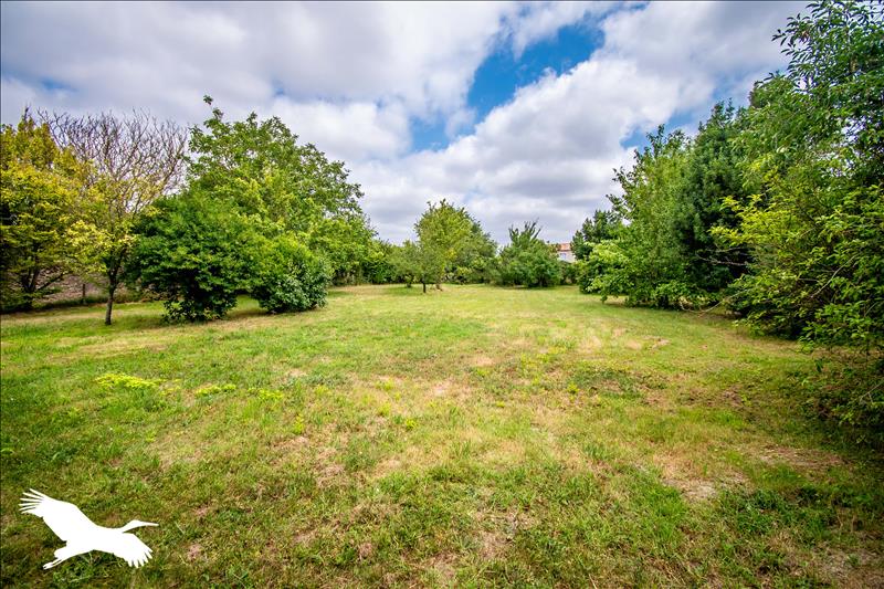 Vente Maison LES CASSES - 6 pièces -223 m² - (11320)