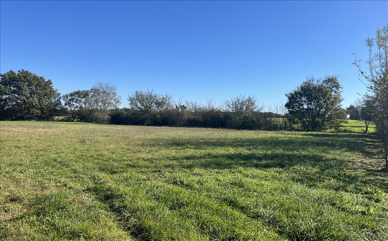 Vente Terrain ST VINCENT - -1621 m² - (31290)