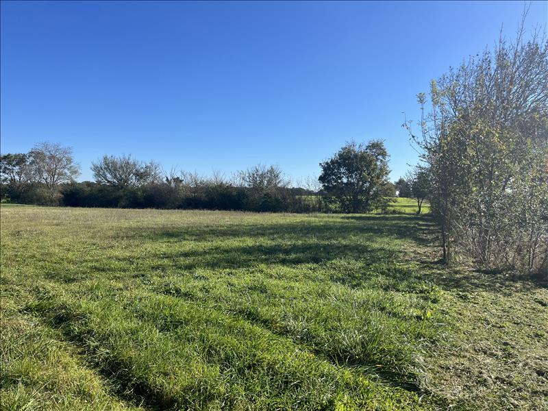 Vente Terrain ST VINCENT - -1621 m² - (31290)