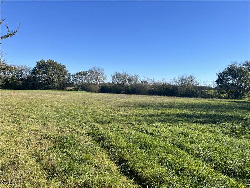 Vente Terrain ST VINCENT - -1621 m² - (31290)