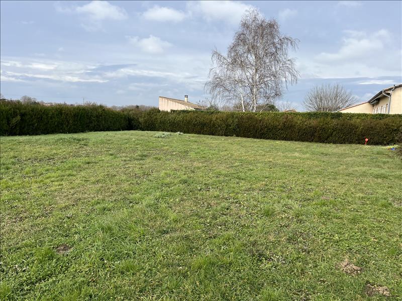 Vente Terrain RENNEVILLE - -954 m² - (31290)