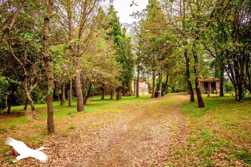 Vente Maison MONTGAILLARD LAURAGAIS - 7 pièces -315 m² - (31290)