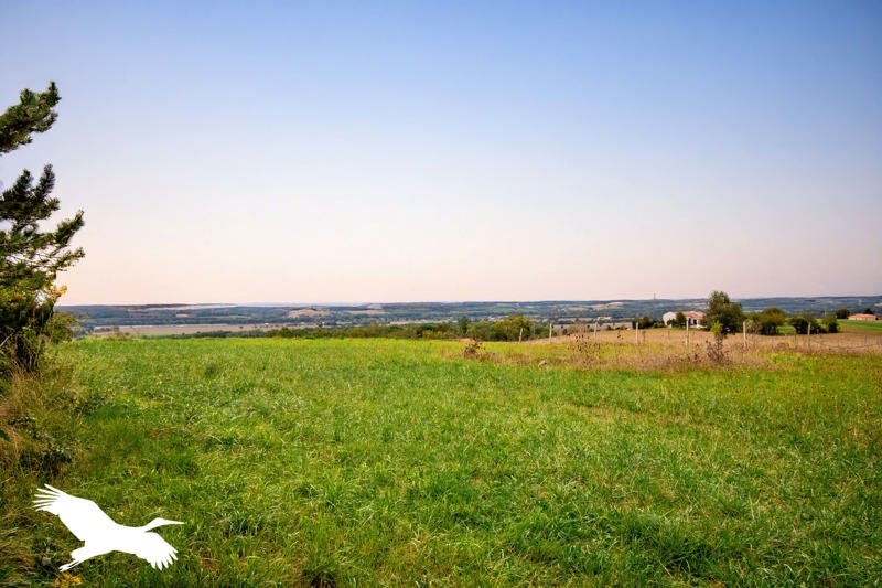 Vente Maison MONTGAILLARD LAURAGAIS - 7 pièces -315 m² - (31290)