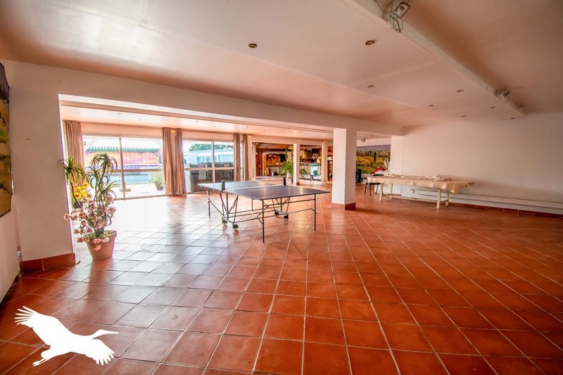 Vente Maison MONTGAILLARD LAURAGAIS - 10 pièces -450 m² - (31290)