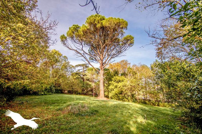 Vente Maison LABASTIDE D ANJOU - 8 pièces -275 m² - (11320)