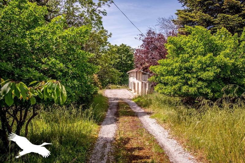 Vente Maison GARDOUCH - 7 pièces -175 m² - (31290)