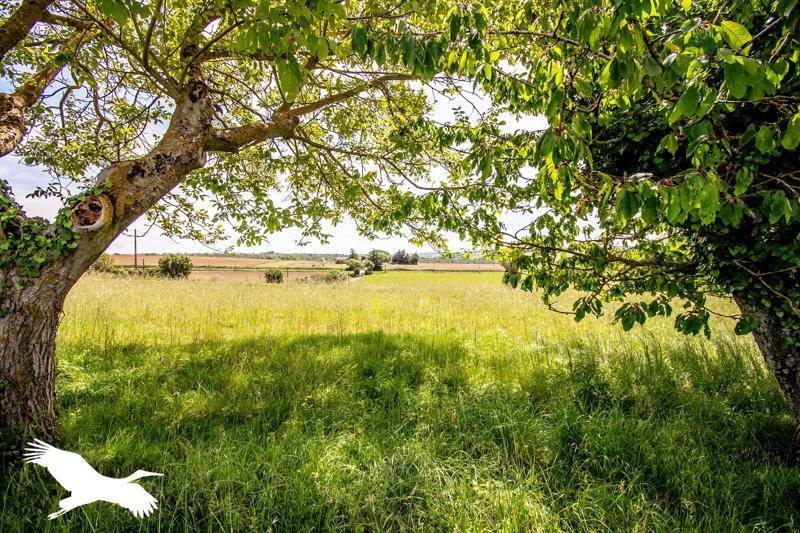 Vente Maison GARDOUCH - 7 pièces -175 m² - (31290)