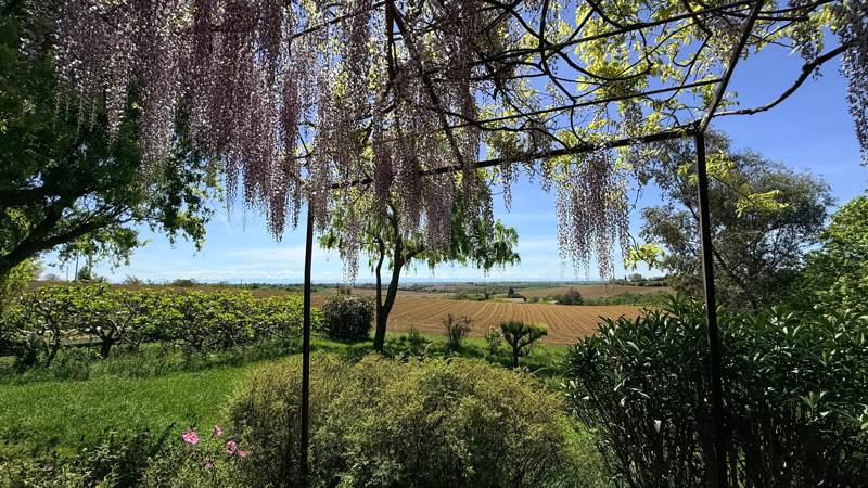 Vente Maison LABASTIDE BEAUVOIR - 5 pièces -158 m² - (31450)