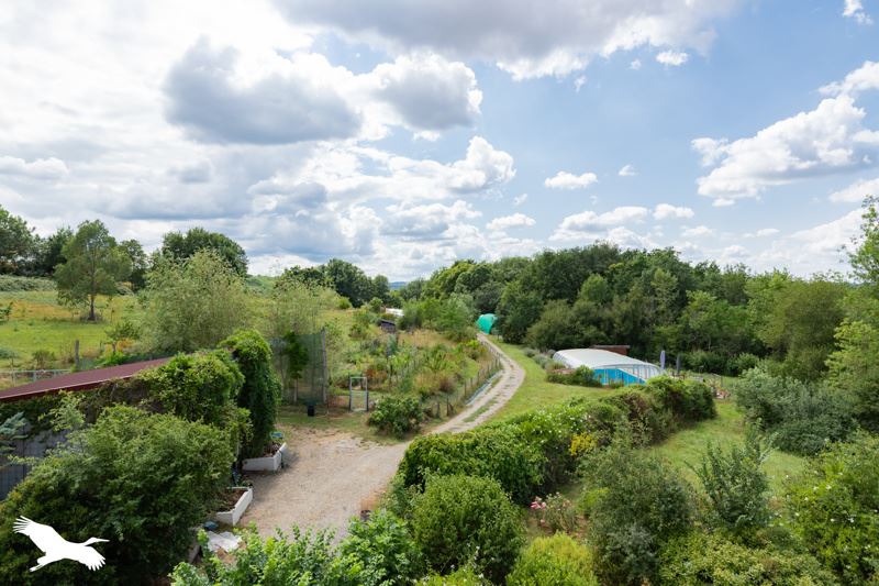 Vente Maison PAMIERS - 18 pièces -374 m² - (09100)