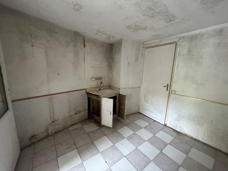 Vente Maison LUSSAULT SUR LOIRE - 3 pièces -60 m² - (37400)