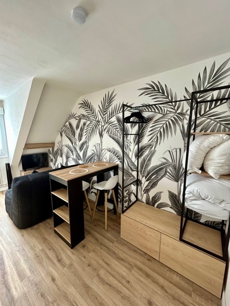 Vente Appartement AMBOISE - 1 pièce -15 m² - (37400)