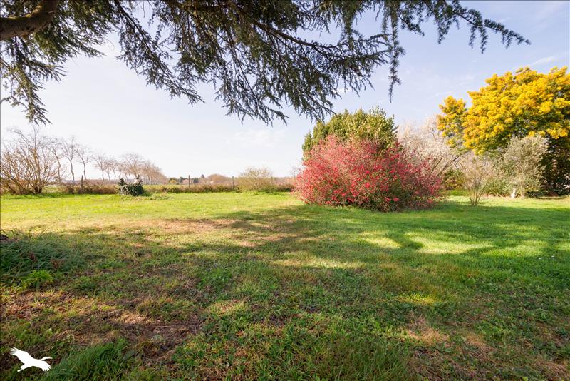 Vente Maison STE FOY DE PEYROLIERES - 4 pièces -90 m² - (31470)