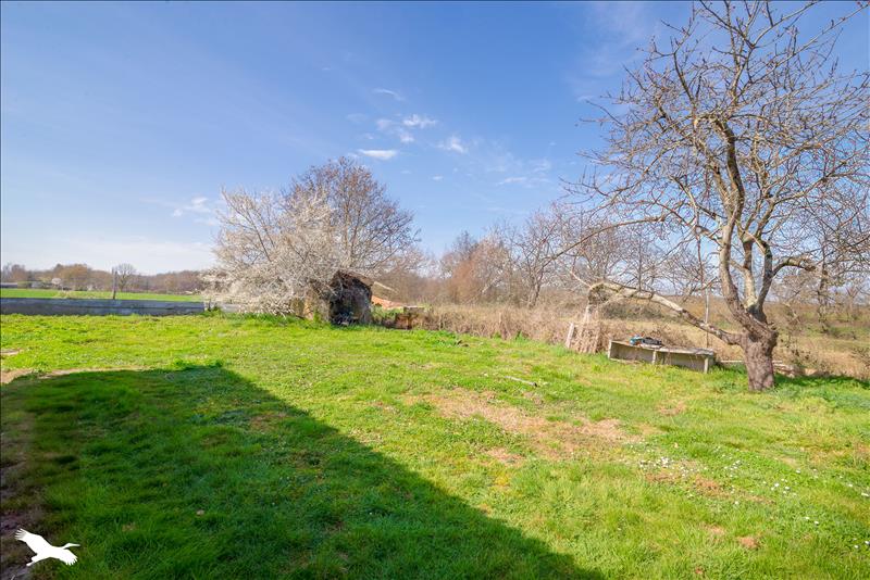 Vente Maison STE FOY DE PEYROLIERES - 4 pièces -90 m² - (31470)