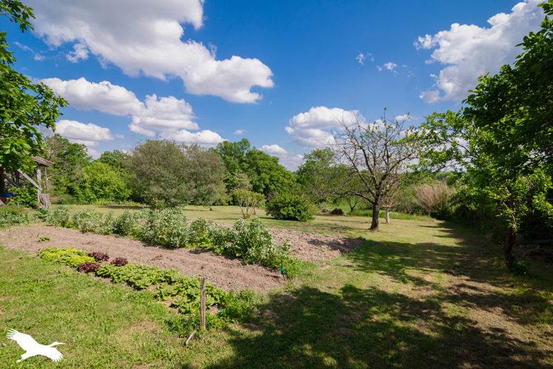 Vente Maison Saint-Lys - 10 pièces -327 m² - (31470)