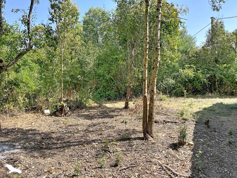Vente Maison SAIGUEDE - 5 pièces -135 m² - (31470)