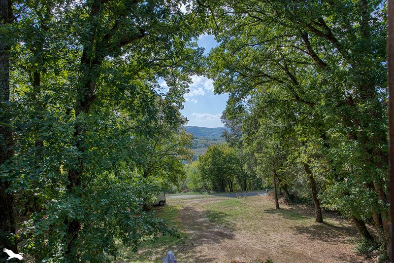 Vente Maison LA ROQUE GAGEAC - 6 pièces -180 m² - (24250)