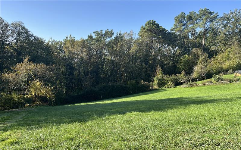 Vente Terrain DOMME - -1331 m² - (24250)