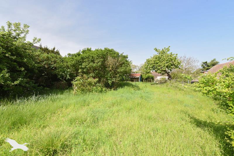 Vente Terrain BLERE - -910 m² - (37150)