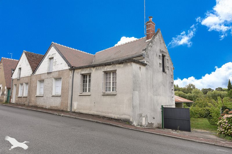 Vente Maison CHISSEAUX - 8 pièces -238 m² - (37150)