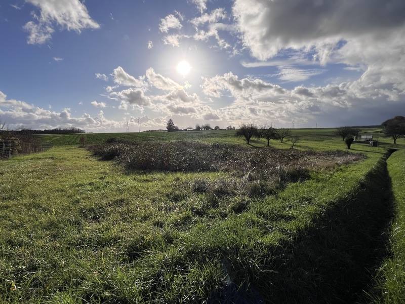 Vente Terrain BLERE - -1285 m² - (37150)