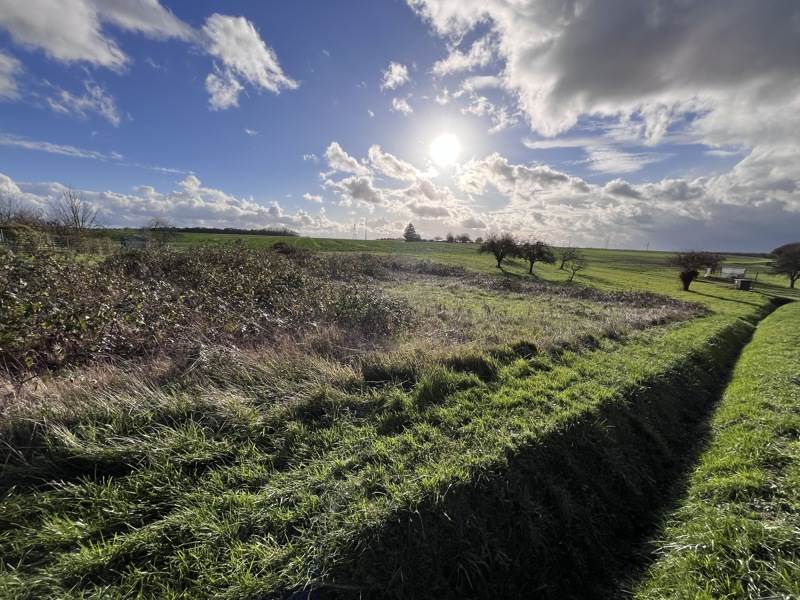 Vente Terrain BLERE - -1119 m² - (37150)