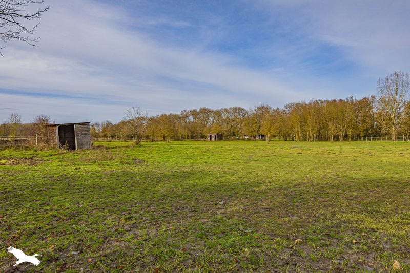 Vente Maison ATHEE SUR CHER - 8 pièces -150 m² - (37270)