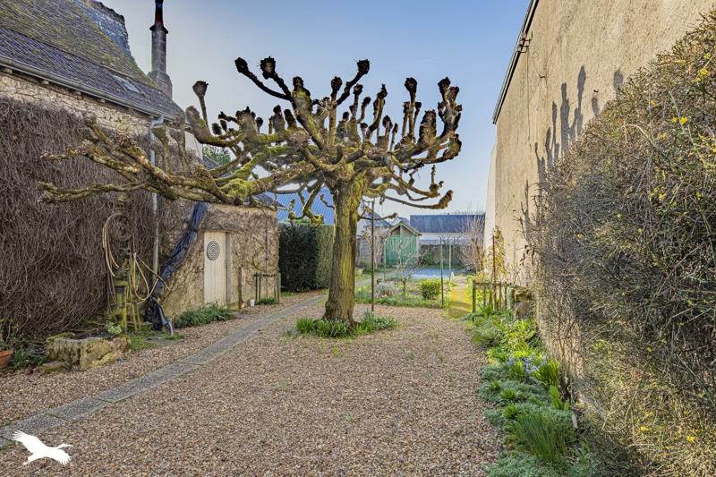 Vente Maison LA CROIX EN TOURAINE - 5 pièces -126 m² - (37150)