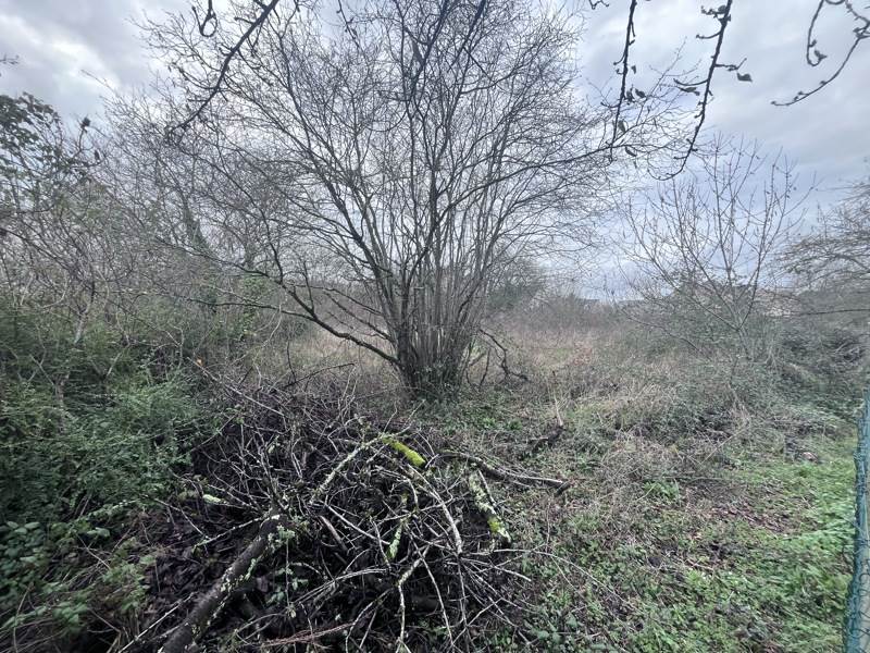Vente Terrain ST AVERTIN - -566 m² - (37550)