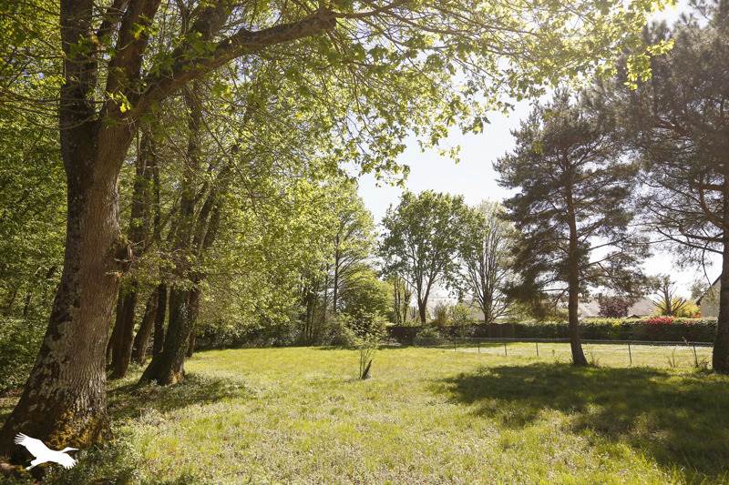 Vente Maison ST AVERTIN - 7 pièces -227 m² - (37550)