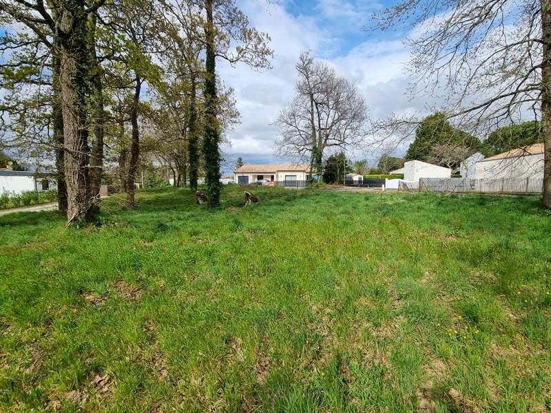 Vente Terrain LES MATHES - -822 m² - (17570)