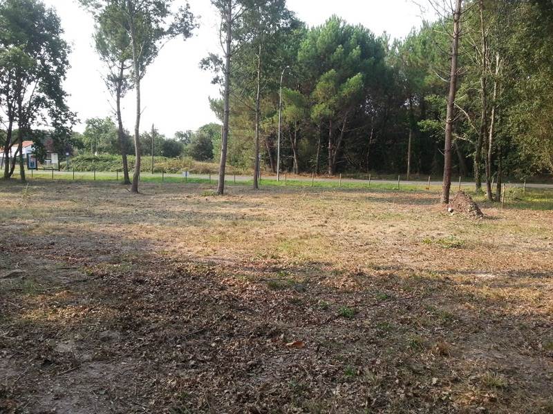 Vente Terrain LES MATHES - -706 m² - (17570)
