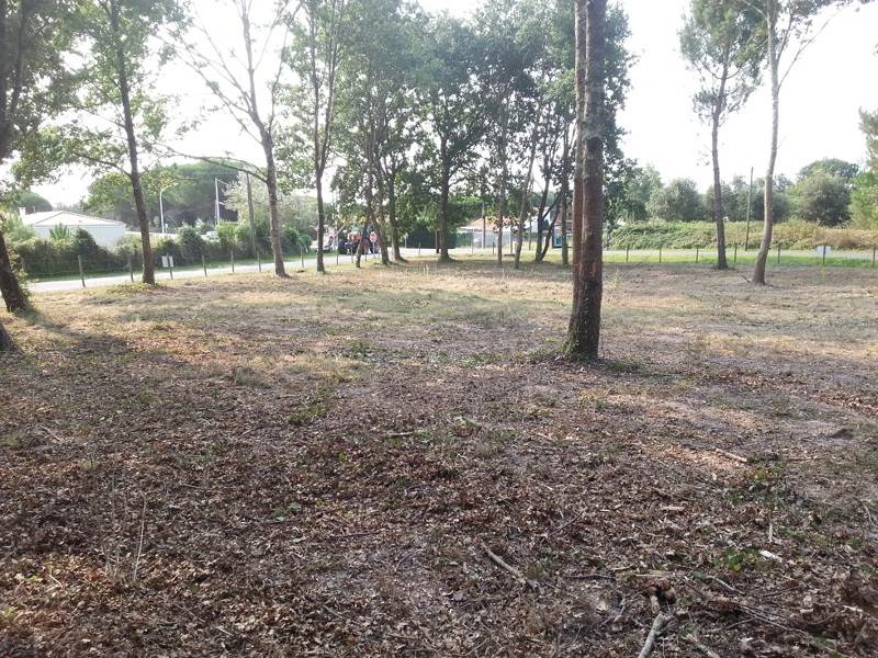 Vente Terrain LES MATHES - -706 m² - (17570)