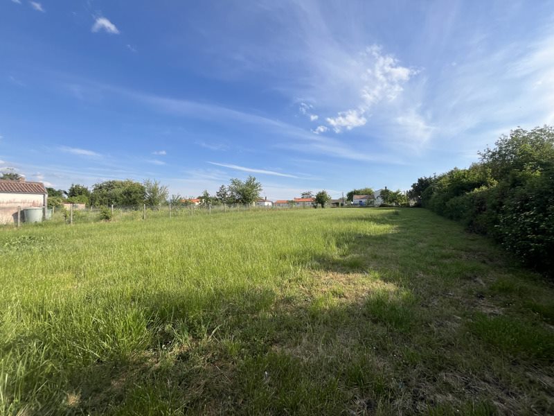 Vente Terrain CHAILLEVETTE - -783 m² - (17890)
