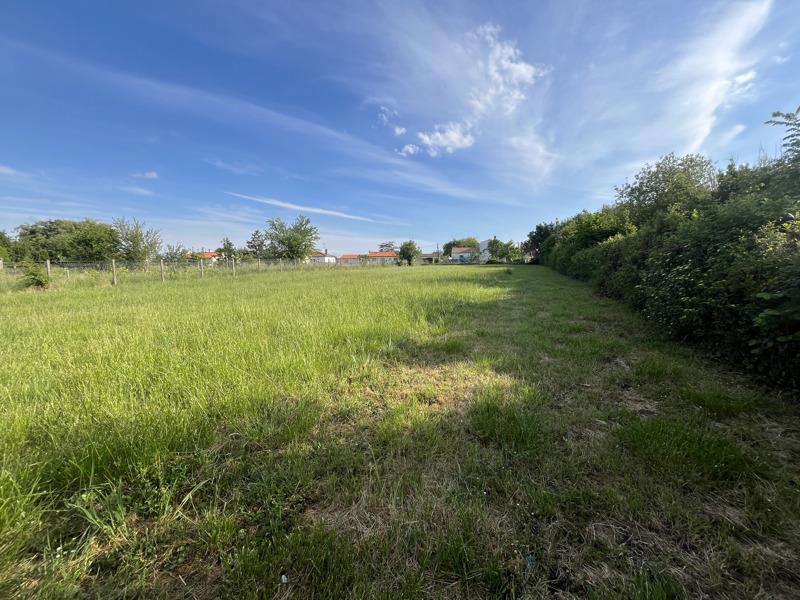 Vente Terrain CHAILLEVETTE - -783 m² - (17890)