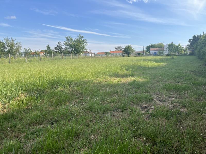 Vente Terrain CHAILLEVETTE - -783 m² - (17890)