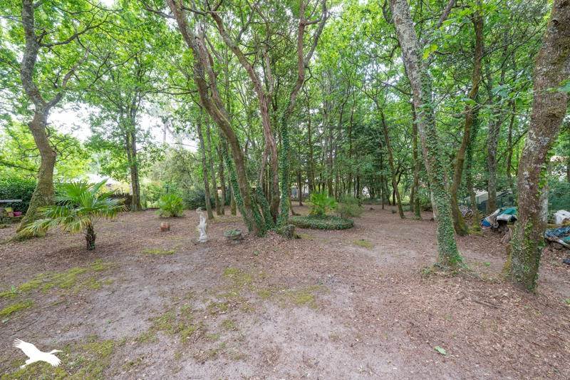 Vente Maison ST AUGUSTIN - 4 pièces -115 m² - (17570)