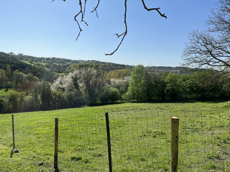 Vente Maison CHANTERAC - 5 pièces -91 m² - (24190)