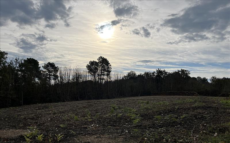 Vente Terrain ST AQUILIN - -1376 m² - (24110)