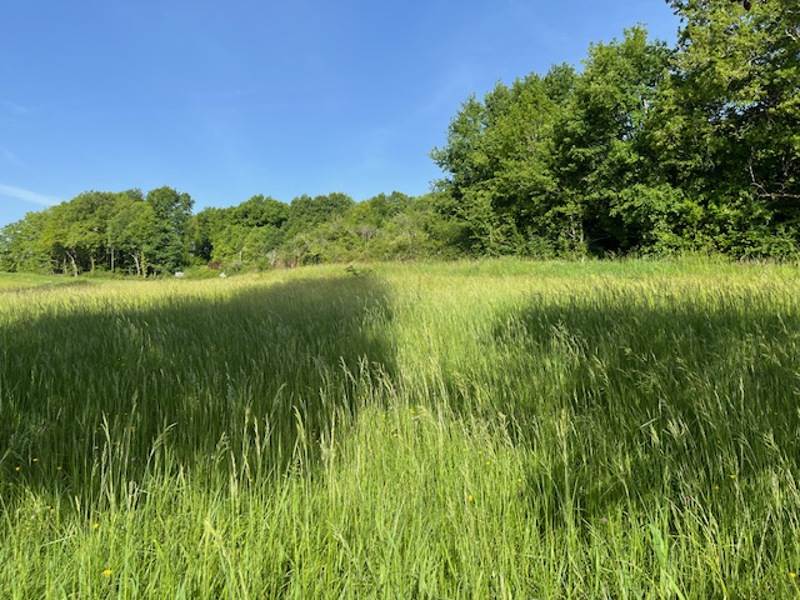 Vente Terrain ST ASTIER - -947 m² - (24110)